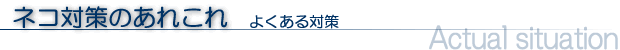 ネコ対策のあれこれ